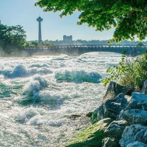 Meet your Posher, Sheligh